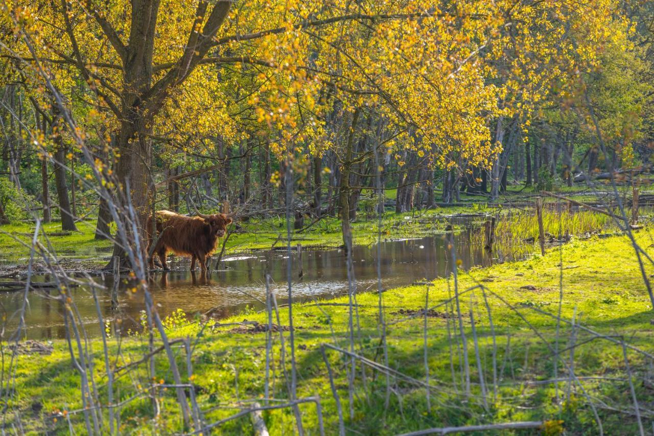 Europarcs Spaarnwoude Halfweg Zewnętrze zdjęcie